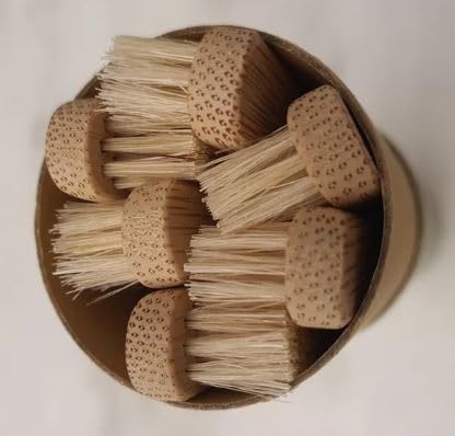 Gaia Guy Natural Bristle Bamboo Toothbrush (NO Nylon - Boar Hair ONLY) - Totally Compostable & Biodegradable Boar Bristle and Bamboo Toothbrushes - Zero Waste - 6-Pack