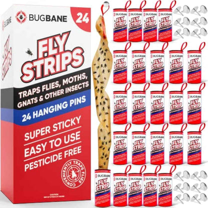 Fly Strips Indoor Sticky Hanging 24pk with Pins. Non Toxic Outdoor Fly Trap Indoor for Home. Flies Tape Paper Trap Ribbon Roll for House Gnat Fruit and Housefly. Bug Catchers for Inside Home Flypaper