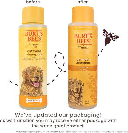 Burt's Bees for Pets Oatmeal Shampoo for Dogs with Colloidal Oat Flour and Honey - Skin Soothing Dog Oatmeal Shampoo, Moisturizing Dog Wash for Itchy Dry Skin, Essential Grooming Supplies, 16 Fl Oz