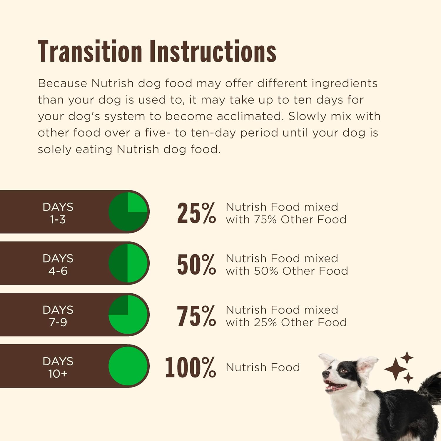 rachael ray nutrish gentle digestion premium paté wet dog food real chicken pumpkin & salmon recipe 12 count