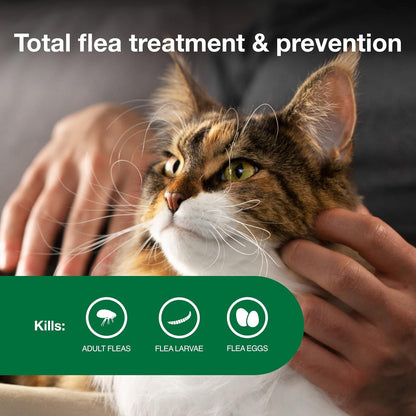 Advantage II Large Cat Vet-Recommended Flea Treatment & Prevention | Cats Over 9 lbs. | 2-Month Supply
