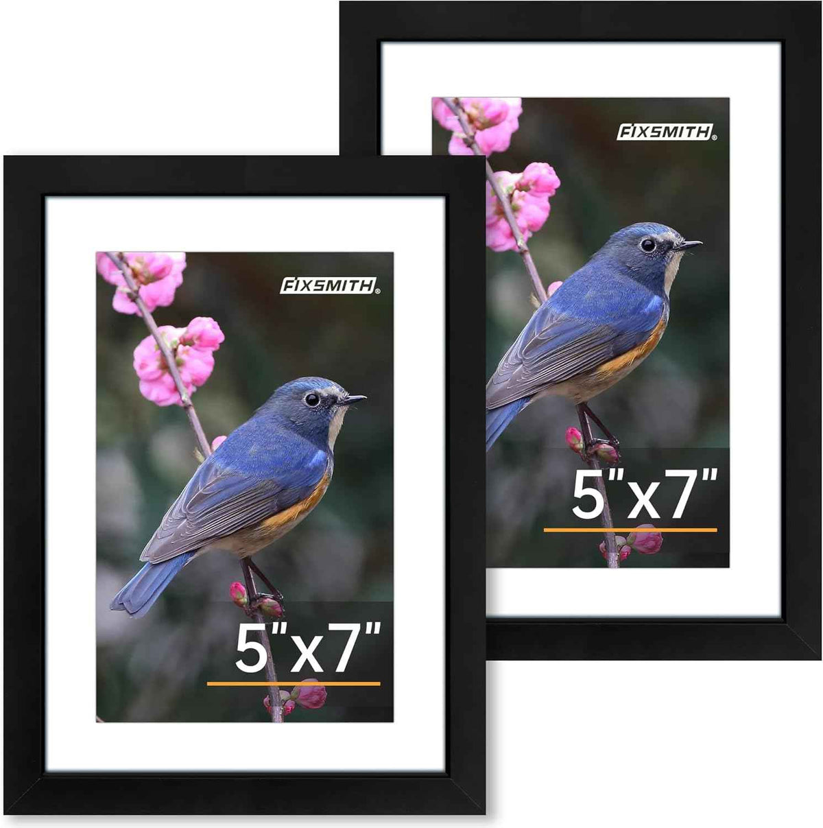 FIXSMITH 8x10 Picture Frame Set of 2, Photo Frame with HD Plexiglass, Display Pictures 5x7 with Mat or 8x10 Without Mat Multi Picture Frames Collage for Tabletop or Wall Display, Black