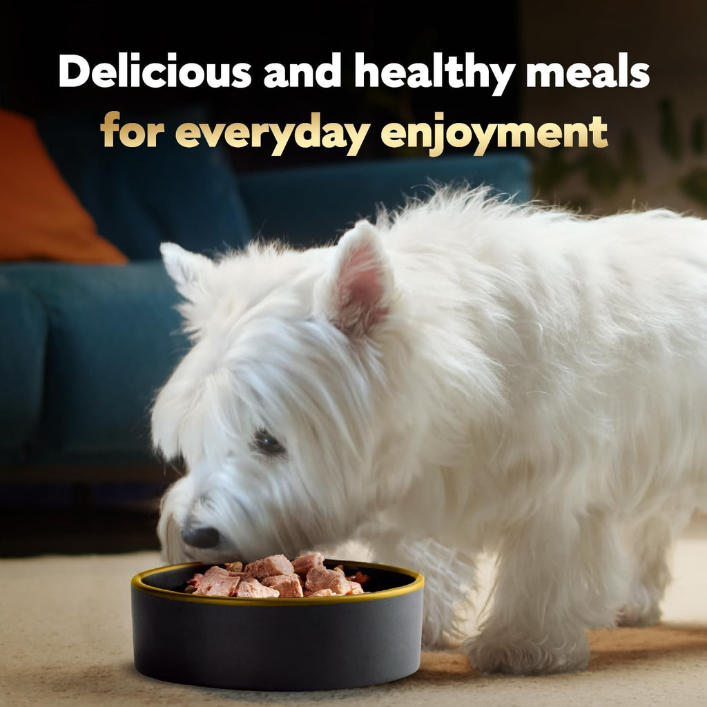 cesar loaf in sauce wet dog food rotisserie chicken, filet mignon, angus beef, and ham & egg flavors variety pack