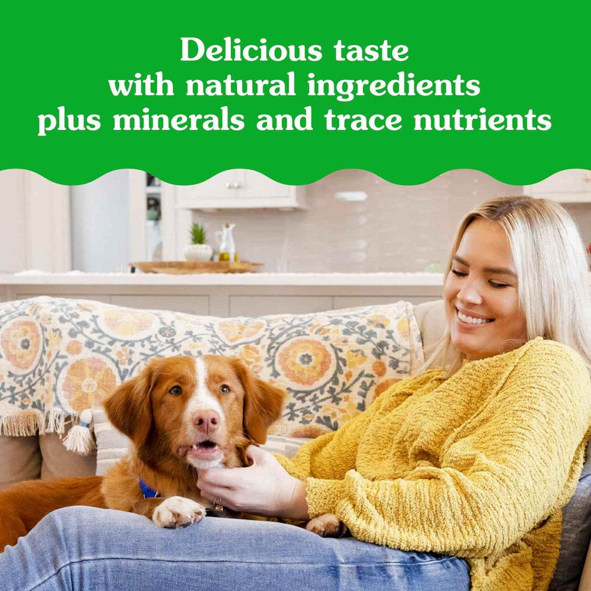 Greenies Pill Pockets for Dogs Large Size, Soft Dog Treats, Chicken Flavor, 15.8 oz. Pouch (60 Treats)