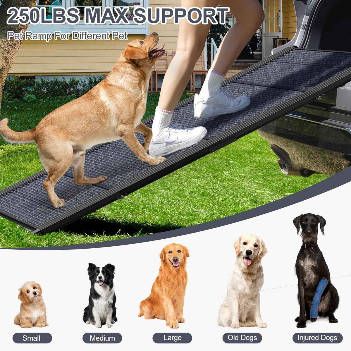 Dog Ramp for Car 63" Long & 17" Wide Portable Dog Ramps for Large Dogs with Non-Slip Rug Surface Dog Car Ramp for SUV Car & Truck, Folding Dog Ramp Up to 250LBS