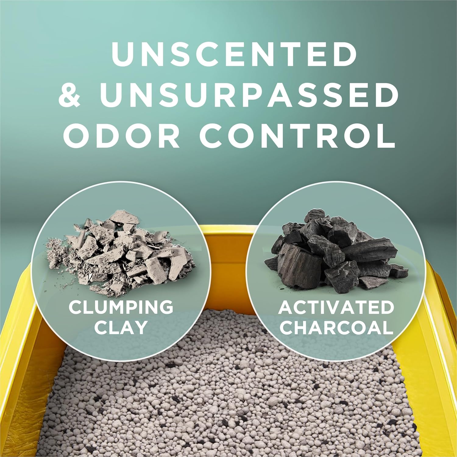 PLrina Tidy Cats Free and Clean Unscented Cat Litter - 38 lb. Box
