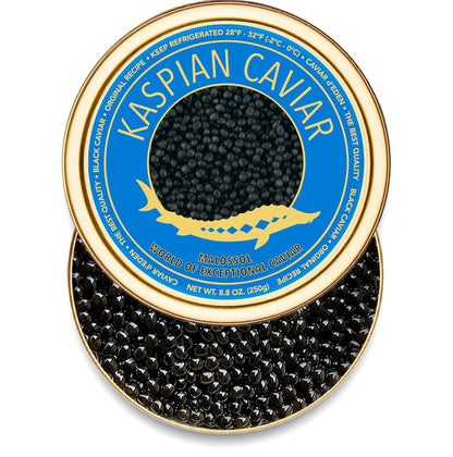 𝐁𝐄𝐒𝐓𝐒𝐄𝐋𝐋𝐄𝐑 Premium Siberian Sturgeon Royal Black Caviar - 1.1 oz - (30g) - Classical Sturgeon Malossol Sturgeon Black Roe - [JANUARY 2026]