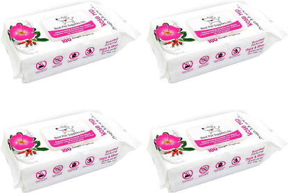Best Pet Supplies Pet Wipes for Dogs - Dog Wipes Cleaning Deodorizing, for Coats, Ears, Paws - Hydrating, Aloe Vera