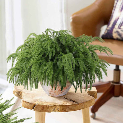 12 Pcs Artificial Norfolk Pine Branches, Norfolk Pine Artificial Pine Stems DIY Crafts Faux Christmas Greenary Norfolk Pine Branches for Xmas Wreath Garland Home Decor (12)