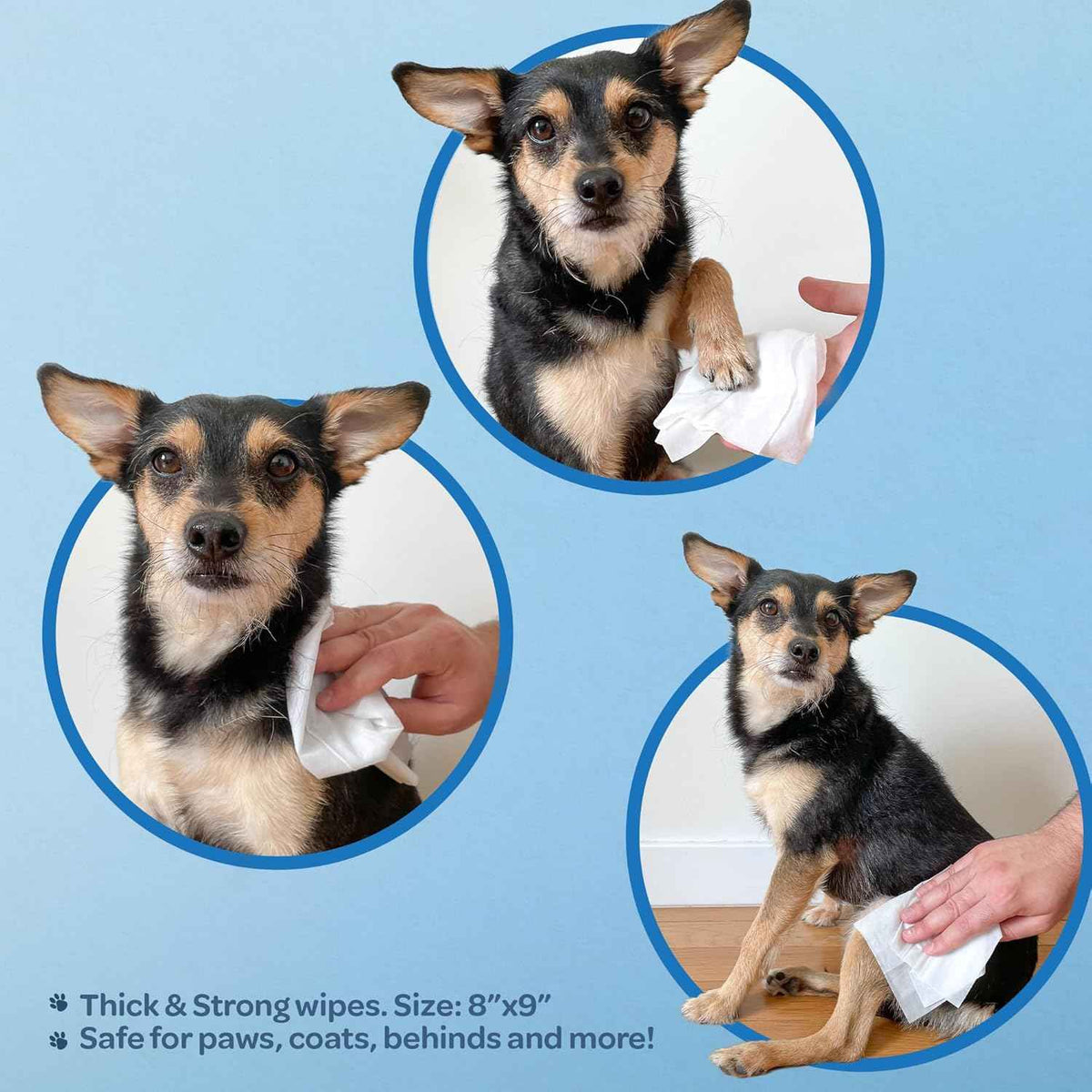 Best Pet Supplies Pet Wipes for Dogs - Dog Wipes Cleaning Deodorizing, for Coats, Ears, Paws - Hydrating, Aloe Vera