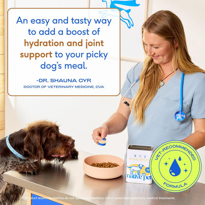 Native Pet Bone Broth for Dogs - Made with Real Grass-Fed Beef, Dog Food Toppers for Picky Eaters - Hydration & Nutrition for Joint Health, 48 Scoops
